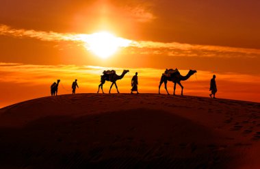 Cameleers, deve sürücüleri gün batımında. Günbatımında çöl Jaisalmer, Rajasthan, Hindistan.