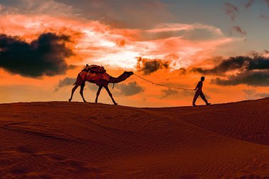 Cameleers, deve sürücüleri gün batımında. Günbatımında çöl Jaisalmer, Rajasthan, Hindistan.