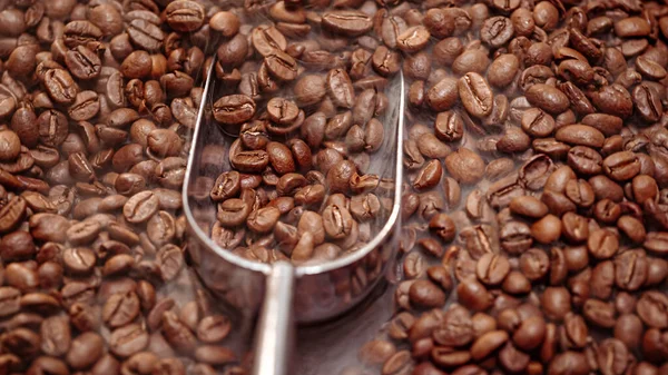 Kahve Tohumlarını Kapat Kokulu Kahve Çekirdekleri Kavrulmuş Dumandır Kahve Çekirdeklerinden — Stok fotoğraf
