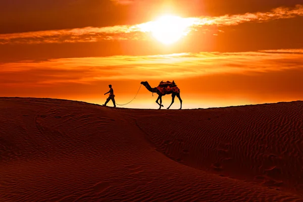 Καμήλες Οδηγοί Καμήλας Ηλιοβασίλεμα Thar Έρημο Στο Ηλιοβασίλεμα Jaisalmer Rajasthan — Φωτογραφία Αρχείου