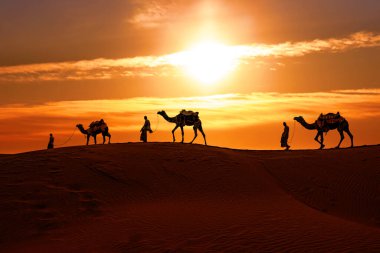 Cameleers, deve sürücüleri gün batımında. Günbatımında çöl Jaisalmer, Rajasthan, Hindistan.