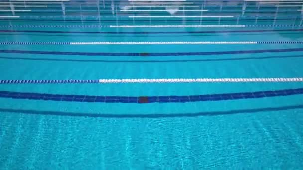 Олимпийский Плавательный Бассейн Яркий Солнечный День — стоковое видео