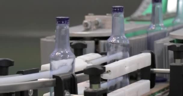 Flaskor Produktionslinje Anläggning Eller Fabrik — Stockvideo