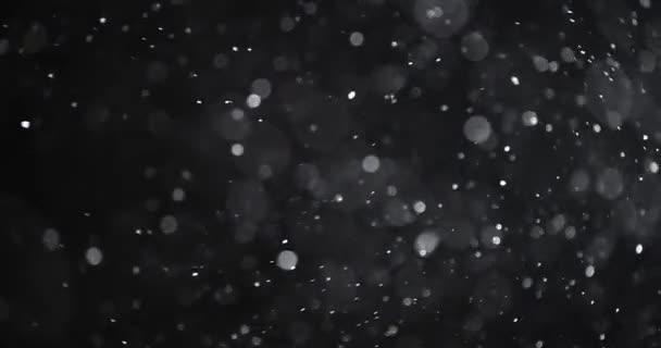 Plutitoare Abstract Particulă Bokeh Fundal Întunecat — Videoclip de stoc