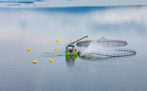 Pêche Saumon Élevage Norvège Norvège Est Grand Producteur Saumon Élevage — Photo