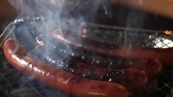 Saucisses Grillées Sur Grille Barbecue Jetable — Video