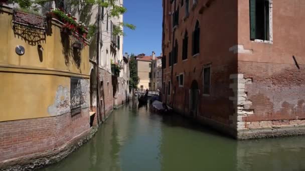 イタリア 明るい晴れた日にヴェネツィアの運河 ゴンドラは都市運河を通って観光客に乗る — ストック動画