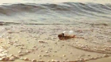 Kadın şişede bir mesaj buldu.