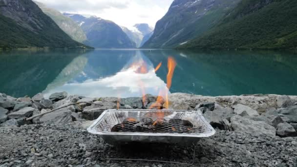 Grille Barbecue Jetable Belle Nature Norvège Paysage Naturel — Video
