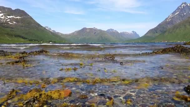 Norveç Güzel Doğası Lofoten Adaları — Stok video