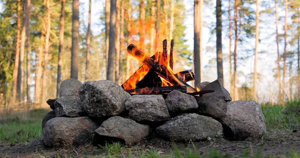 Brinnande Lägereld Skogen — Stockfoto