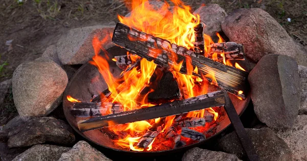 Kampvuur Verbranden Het Bos — Stockfoto