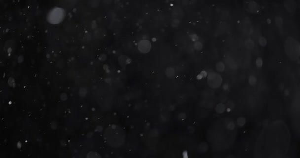 Плаваюча Абстрактна Частинка Боке Темному Фоні — стокове відео