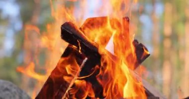 Ormanda yanan kamp ateşi