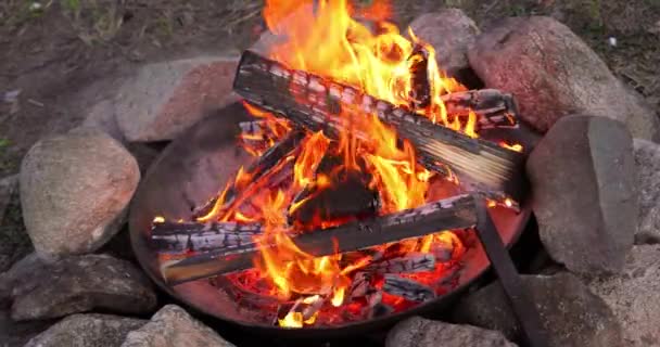 Feu Camp Brûlant Dans Forêt — Video