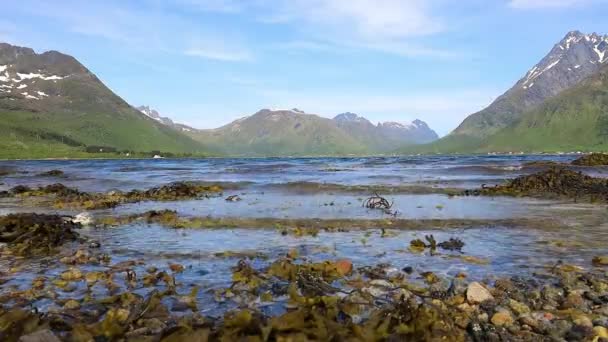 Norveç Güzel Doğası Lofoten Adaları — Stok video