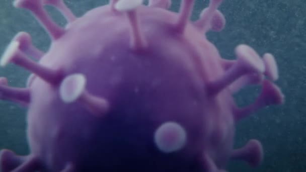 Covid 19パンデミック顕微鏡ウイルス分子マクロクローズアップ — ストック動画