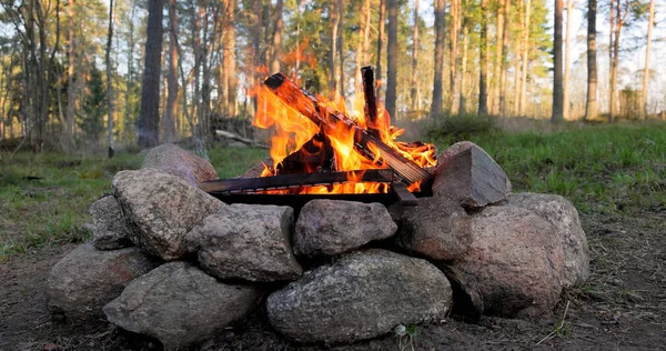 Brinnande Lägereld Skogen — Stockfoto