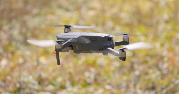 Copter Drone Volant Avec Appareil Photo Numérique Forêt — Video