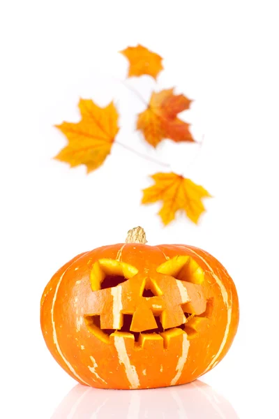 Halloween, stary jack-o latarnia na biały — Zdjęcie stockowe