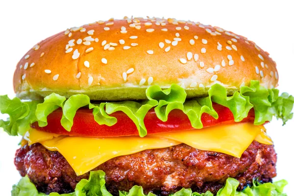 Burger — Stock Photo, Image