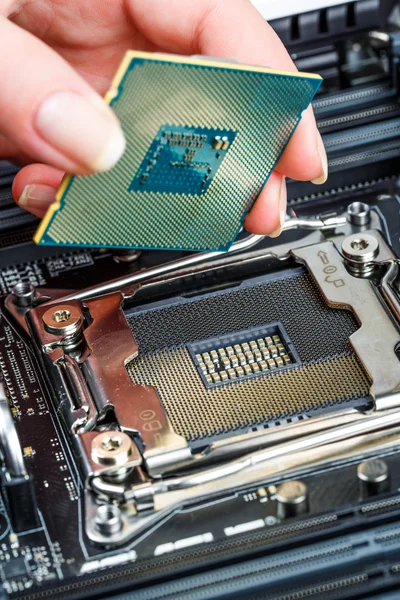 Moderne processor en moederbord — Stockfoto