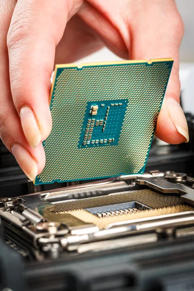 Modern processor och moderkort — Stockfoto