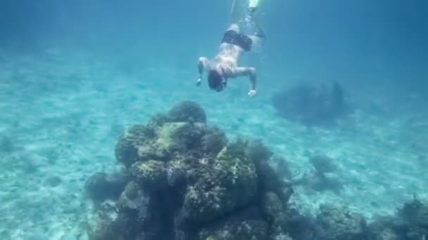 Snorkeler man diving — Stock Video