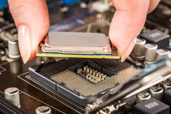 Modern processor and motherboard — Stock Photo, Image