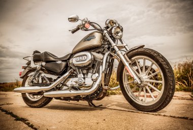 Harley-davidson - sportster 883 düşük