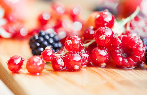 Currants — Stock Photo, Image