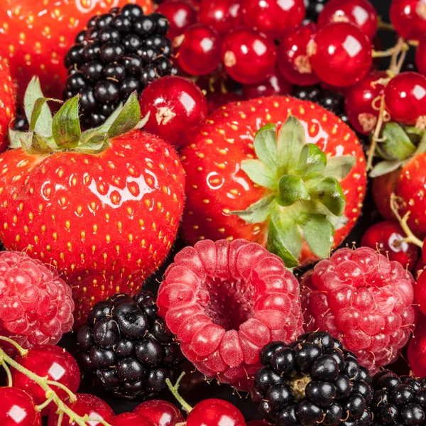 Variety of different berries — Stock Photo, Image