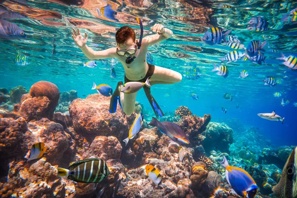シュノーケル モルディブ インド洋サンゴ礁. — ストック写真