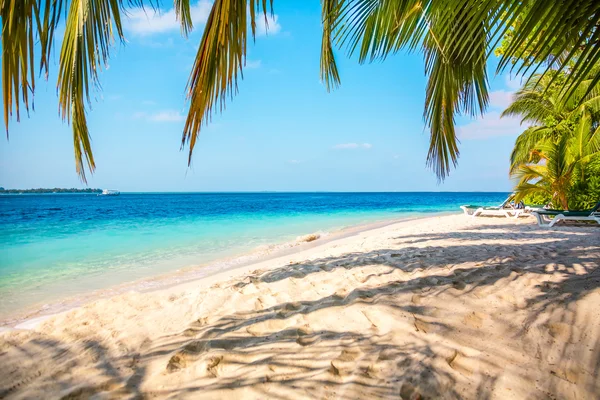 Мальдіви пляж — стокове фото