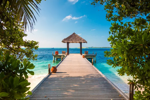 Maldivas, un lugar en la playa para bodas . — Foto de Stock