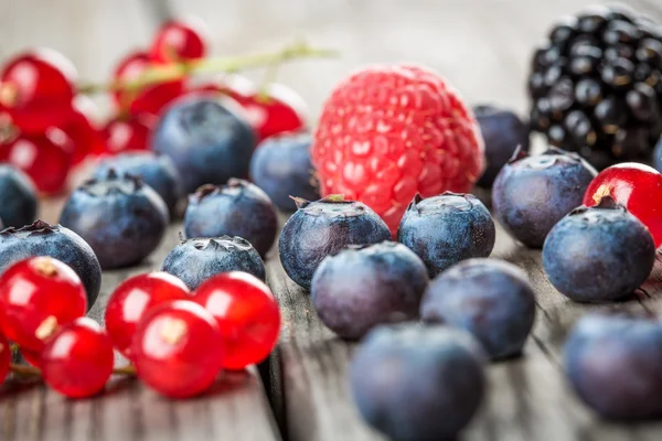 Blueberries fundo — Fotografia de Stock