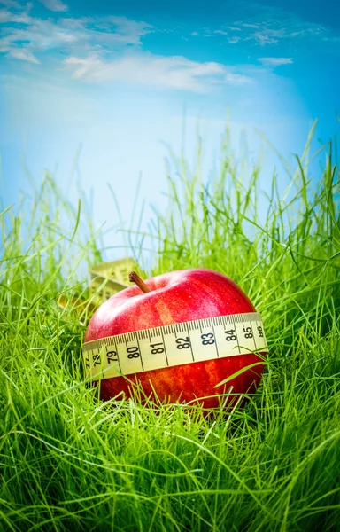 Apfel auf dem Gras — Stockfoto