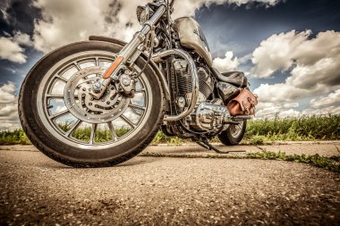 Harley-davidson - sportster 883 düşük