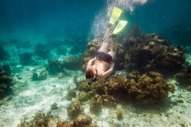 Snorkeler