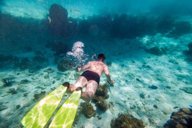 Snorkeler