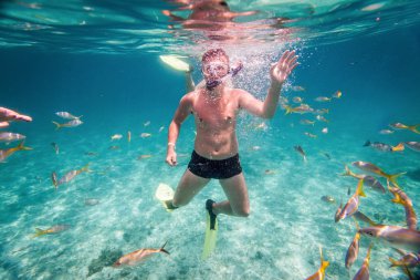 Snorkeler