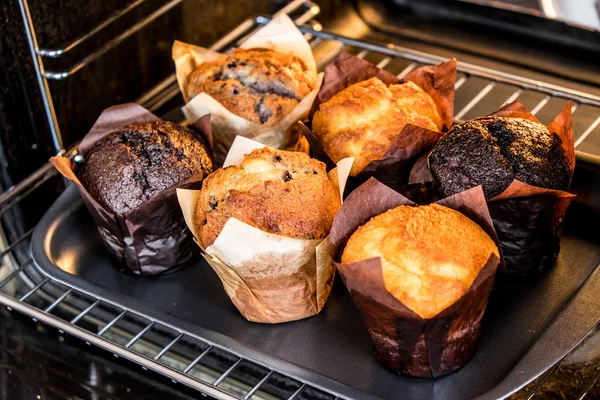 Muffins in the oven — Stock Photo, Image