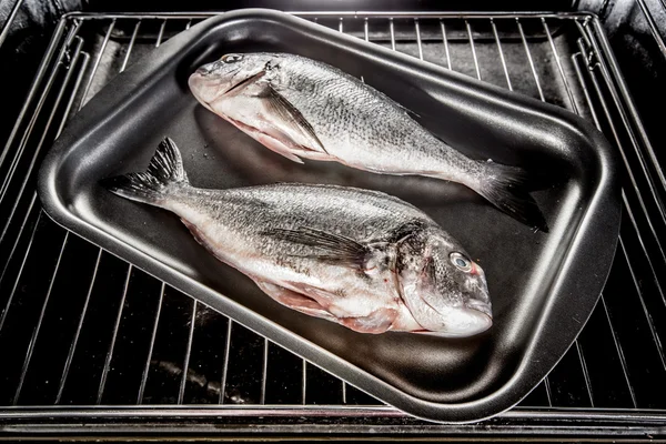 오븐에도 라도 물고기. — 스톡 사진
