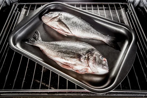 Dorado vis in de oven. — Stockfoto