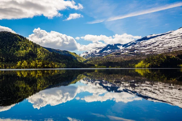 Hermosa naturaleza Noruega . — Foto de Stock