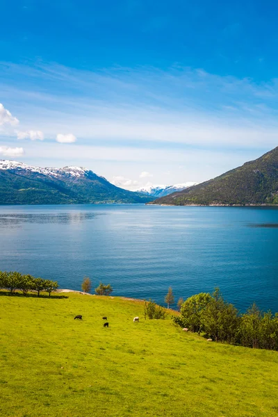 Hermosa naturaleza Noruega . —  Fotos de Stock