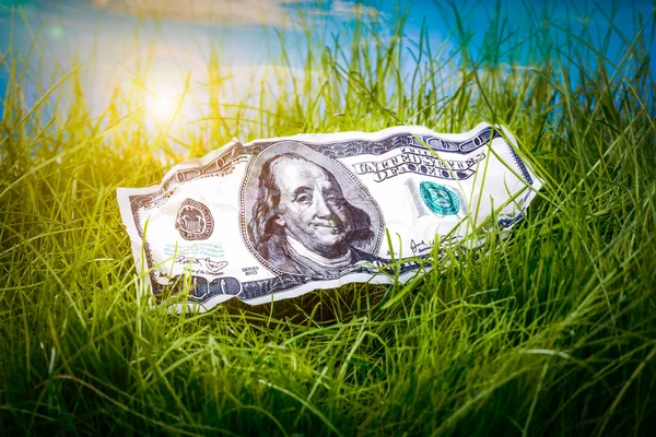 Dollar in het groene gras — Stockfoto