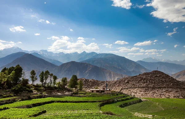 Zemědělský pozemek problém s parkováním údolí, Himachal Pradesh, Indie — Stock fotografie