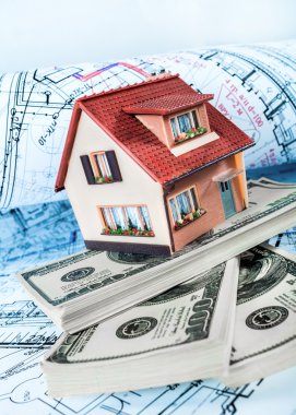 Paketleri üzerinde mavi bir baskı ev.