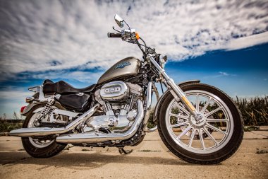 Harley-davidson - sportster 883 düşük